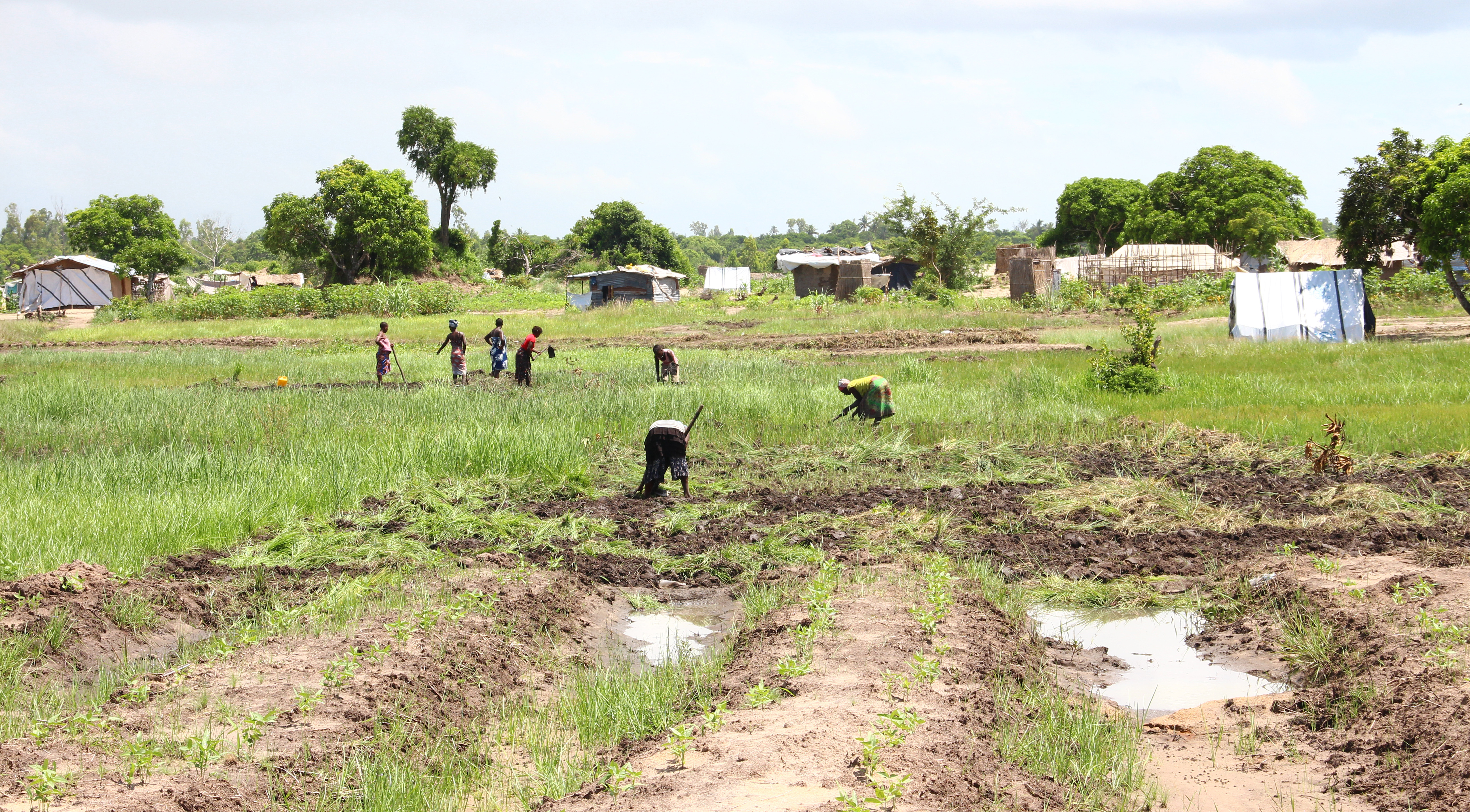 Mozambique – Lutte contre le changement climatique en prévention des conflits 